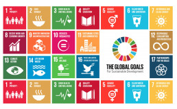 Sustainia SDG, SDG services