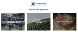 Global Opportunity Explorer by UNGC & Sustainia